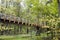 Aerial ecological trail among tree crowns Moscow Russia