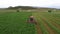 Aerial Farmer field swather towards cutting alfalfa hay 4K