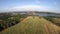 aerial farmland and forest