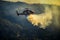Aerial firefighting Helicopter releases water to combat a fierce wildfire