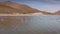 Aerial Flamingos. San Pedro de Atacama, Antofagasta - Chile. Desert.