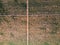 Aerial flat top view of a vineyard road in summer