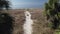 Aerial flight along a path through beach dunes to a calm ocean