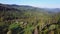 Aerial: flight in Carpathians mountains