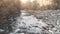 Aerial Flight: mountain river in autumn forest