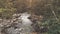 Aerial Flight: mountain river in autumn forest