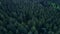 AERIAL: Flight over a dense Forest in Beautiful rich Green color at Dusk in Germany