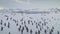 Aerial flight over penguins, seals. Antarctica.