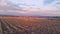 Aerial flight over plant field during sunset at Jezreel Valley near Megiddo