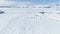 Aerial flight over running penguins. Antarctica.