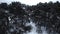 Aerial flight in winter spruce and pine forest. Trees are frozen and covered with snow. Snowy background fir branches