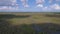 Aerial Florida Everglades July 2017 Sunny Day 4K Inspire 2