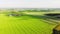 Aerial fly over scenic agricultural farming fields