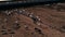 Aerial fly over view of cattle feedlot.