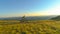 AERIAL: Flying along mountain biker pedalling his bicycle along the grassy trail