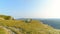 AERIAL: Flying around a cheerful tourist couple setting up a tent in the meadow.