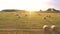 Aerial Flying Back To Sunset Over Rural Fields With Haystacks