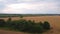 Aerial flying close above yellow wheat field.