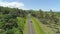 AERIAL: Flying over lonely car driving through lush vegetation near the seaside.