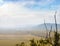 Aerial foggy landscape with cultivated fields and dead limbs