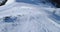 Aerial follow over skier alpine skiing with dog running behind in winter snowy mountain ski track field in sunny day