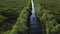 Aerial Following Boat Through Narrow Canal Surrounded By Lush Green Foliage Tilt Up