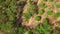 Aerial following shot of a motorcyle rider driving along a small dirt pathway.