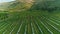 Aerial footage of almond plantation in north Israel