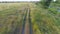 Aerial footage of boy riding bike. Countryside road. Agricultural field in summer. Ukrainian nature