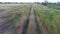Aerial footage of boy running along countryside road. Agricultural field in summer. Ukrainian nature