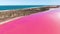 Aerial, Footage of Bright Pink Saltwater Lake. Western Australia Tourism, Travel