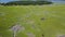 Aerial Footage of Cape Cod Wetland Habitat
