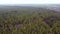 Aerial Footage of Coniferous Forest