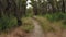 Aerial footage of a dirt track in The Blue Mountains in regional Australia