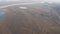 Aerial footage of a flock of white-necked cranes at sunset