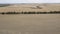 Aerial footage of hay bales in an agricultural field in regional Australia