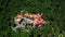 Aerial footage. Palace of Pena, Sintra, Lisbon, Portugal