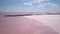 Aerial Footage of a Pink Lake and Shore