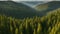 Aerial footage of spruce forest trees on the mountain hills at misty day