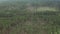 Aerial forest field landscape. Morning grassland horizon meadow