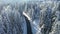 Aerial - Forest road with heavily snow-capped pine trees around