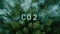 Aerial forest view with CO2 text, highlighting environmental concerns.