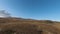 Aerial FPV drone shot of a chasing and flying close around herd of wild horses running on a field at beautiful summer