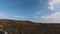 Aerial fpv drone shot of a herd of wild horses running on a green spring field at the sunset.