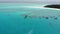 Aerial frone fly by the Tropical paradise Mnemba Island, located 3 km off the coast of Zanzibar`s main island Unguja