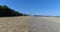 Aerial front view of harvesting of wheat by green combine