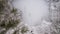 Aerial of Frozen Lake In Snow Covered Forest - Wayne National Forest - Ohio