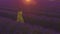 AERIAL: Girl in long yellow dress walking in gorgeous lavender field at sunset