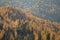 AERIAL: Golden autumn sunshine illuminates the colorful Dolomites in October