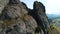 Aerial of great relief of rocks among the thick green forest growing down in the valley. Shot. Close up of mountain peak